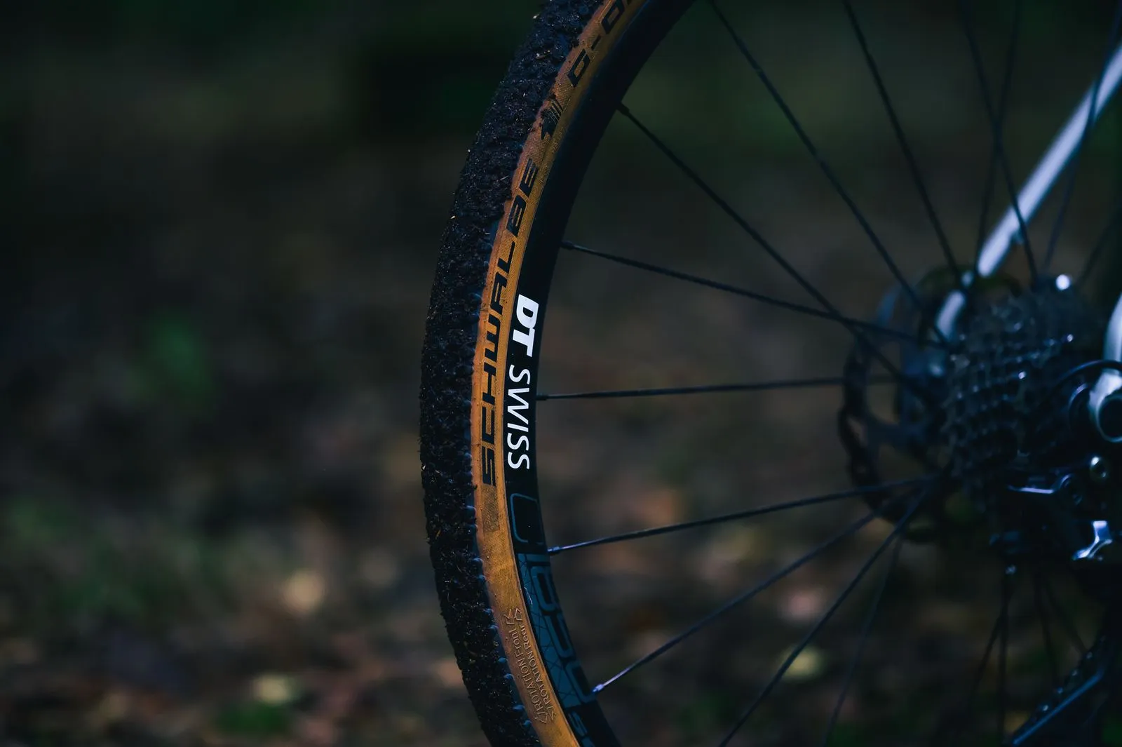 Gravel Bike Fit: Key Adjustments to Check